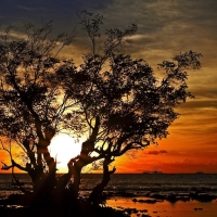 Sea Sunset