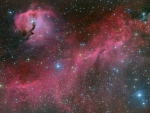 The Seagull Nebula