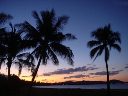 Lake Sunset - palm, landscape, clouds, trees, sunset, nature