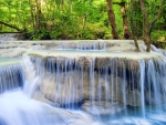 River Waterfall in a Forest