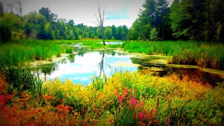 Brockville - lake, cool, field, fun, nature