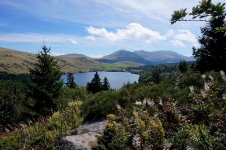 Guery Lake - lake, forest, cool, fun, nature, mountain