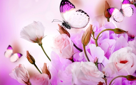 butterflies and flowers - fun, cool, animals, flowers, butterflies