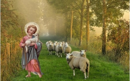 Young good shpherd - christ, jesus, sheep, shepherd