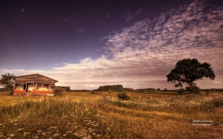 Northern Deutschland - abstract, summer, Deutschland, photography, landscape, scene, nature, autumn, field, abaddon, wallpaper