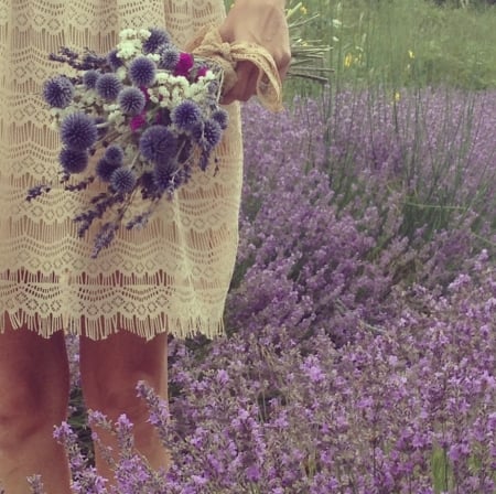 :) - flowers, field, purple, abstract