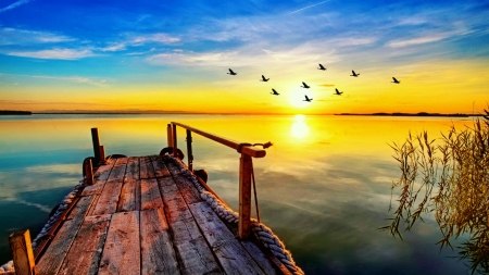 Lake sunrise - lake, sky, sun, dock, sunset, serenity, amazing, pier, reflection, tranquil, river, beautiful, sunrise, birds