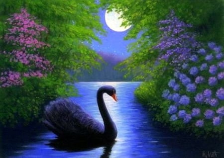 Black Swan - black swan, paintings, spring, flowers, moons, swans, garden, lakes, love four seasons, draw and paint, animals