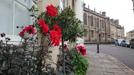 A pleasant view - flowers, architecture, religious, bath