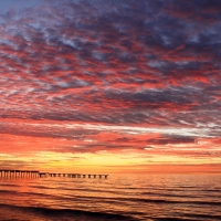 Pink Clouds over the Beach