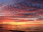 Pink Clouds over the Beach