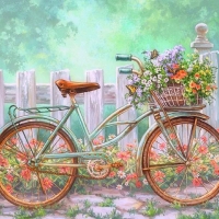 Vintage Bike Flowers