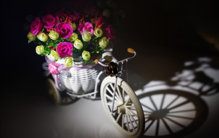 Still Life - cycle, abstract, flowers, soft