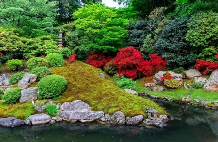 Beautiful park - summer, garden, pond, greenery, beautiful, trees, park