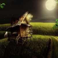 *Little wood house in the moonlight*