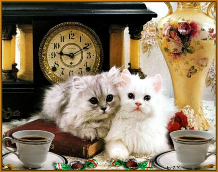 Good morning - cats, closk, morning, coffee