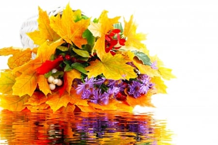 Autumn bouquet - flowers, leafs, purple, autumn, brown, reflection, Autumn bouquet