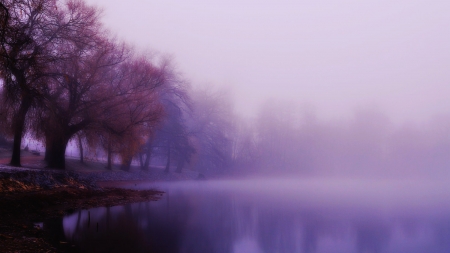 Autumnal - fog, lake, autumn, trees