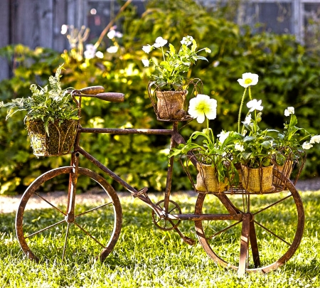 *Vintage garden decor* - pots, decor, grass, flowers, bike, vintage, green, old, garden, hdr, plants, bicycle