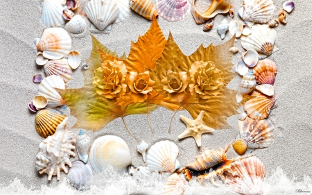 *Autumnal meeting* - seashells, seaside, beach, autumn, roses, hq, shells, starfish, seasons, autumn rise, leaves, hdr, sand