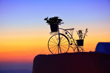 Sunset Silhouette - silhouette, bike, pots, plant, leaves, bicycle, flowers, sunset