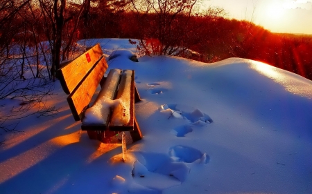 Winter Sunset - nature, trees, snow, winter, sunset, bench