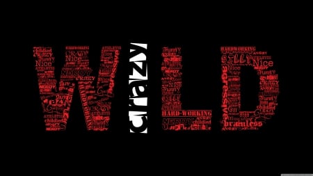 wild and crazy - crazy, typography, words, wild