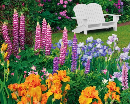 Garden Retreat - lilies, lupines, blossoms, bench, colors, plants