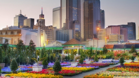 beautiful flower market in downtown dallas hdr - market, flowers, skyscrapers, city, hdr