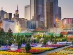 beautiful flower market in downtown dallas hdr