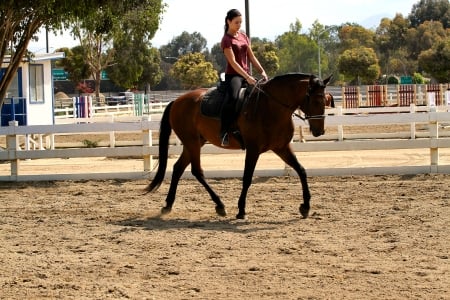 Riding For Fun - women, fun, female, boots, fashion, models, brunettes, western, girls, cowgirls, style, rodeo, horses, ranch