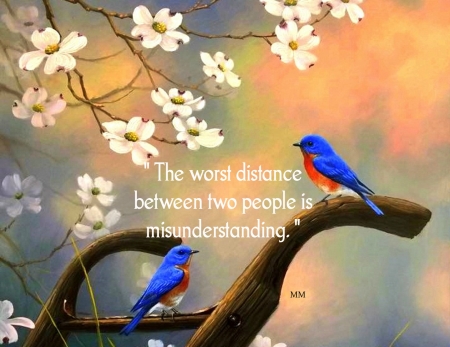 Distance - animals, quotes, words, thoughts, birds