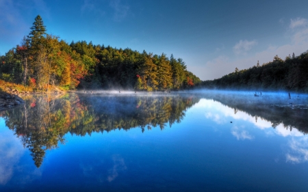 Lake - lake, tree, forest, nature