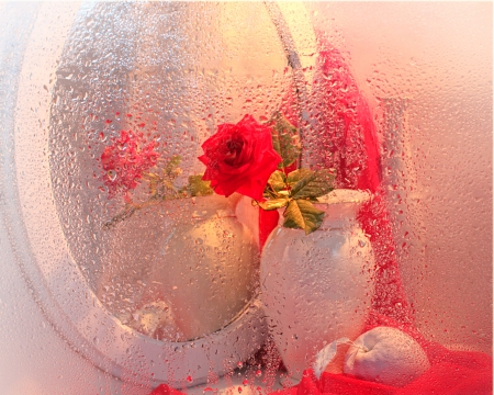 Still Life - flowers, still life, rose, mirror