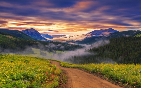 Mountain - cloud, water, grass, lake, sky, fog, tree, mist, nature, mountain