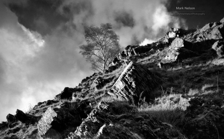 Uphill backwards - hill, landscape, mountain, photography, wallpaper, black and white, nature, abstract, tree, scene