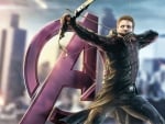 Avengers Hawkeye