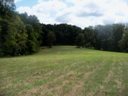 House Field - nature, fields, rural, forests