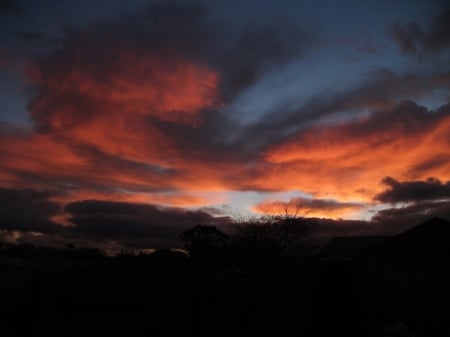 Glowing Sunset - nature, sky, trees, glowing, clouds, sunset