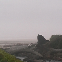 Foggy Beach