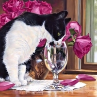 Cute Cat