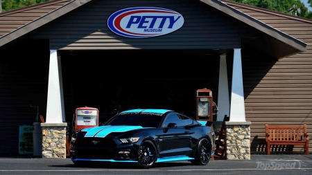 2015 Ford Mustang GT Petty's Garage Edition - ford, gt, black, blue stripes