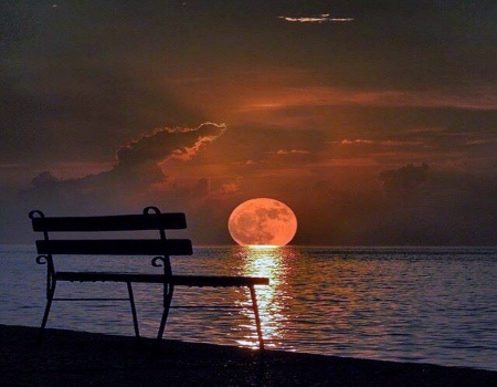 Special night - moon, water, bench, night, ocean