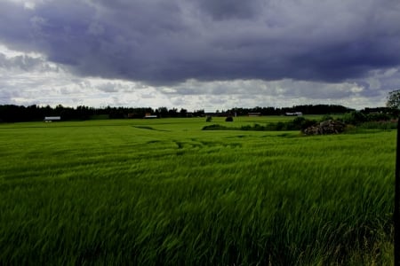 Landscape - Grass, Sky, Clouds, Green