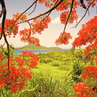 Tamarind Bay View
