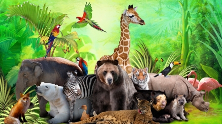 Wild Animals - zebra, bear, animals, giraffe, hippo, fox, jungle, zoo, birds, firefox persona theme