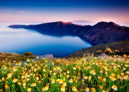 Beautiful island view - rocks, camomile, beautiful, flowers, lake, sky, reflection, view, island, santorini