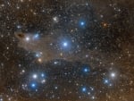 The Shark Nebula