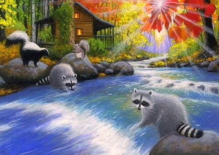 Raccoons River - rays light, autumn, draw and paint, animals, raccoons, nature, fall, love four seasons, leaves, rivers, paintings