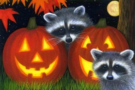 Halloween Raccoons - autumn, draw and paint, animals, raccoons, moons, pumpkins, halloween, love four seasons, fall, paintings